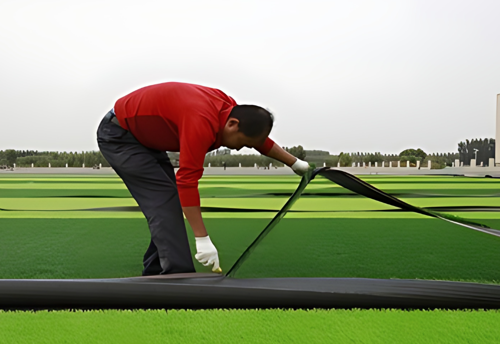 jepturf || jephturf || jepturf turf